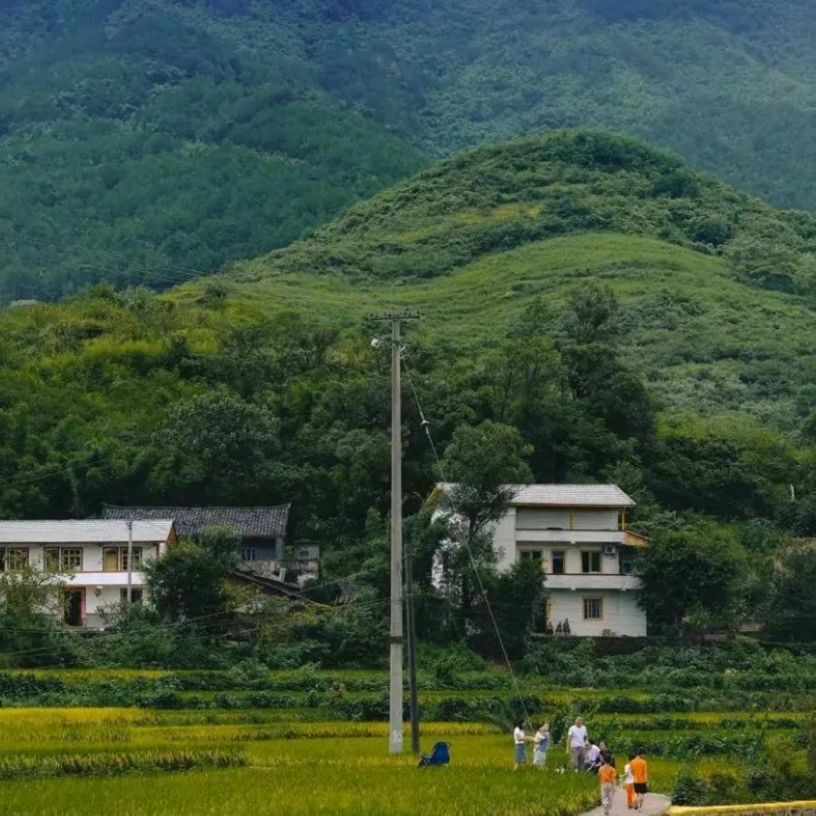 鑫美达传媒