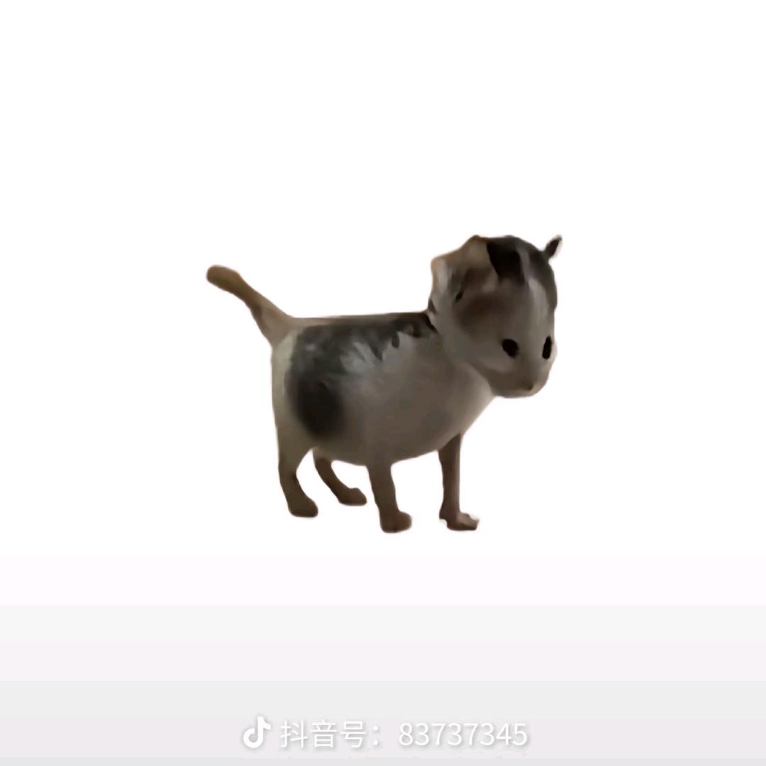 睡醒发现拉子老婆是男同