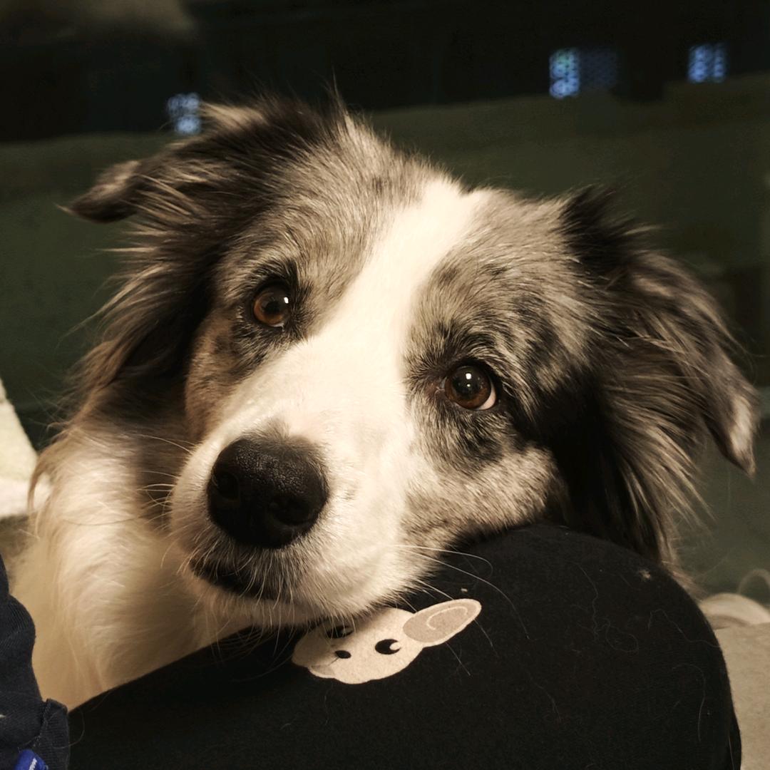 哈密瓜🍈的妈妈