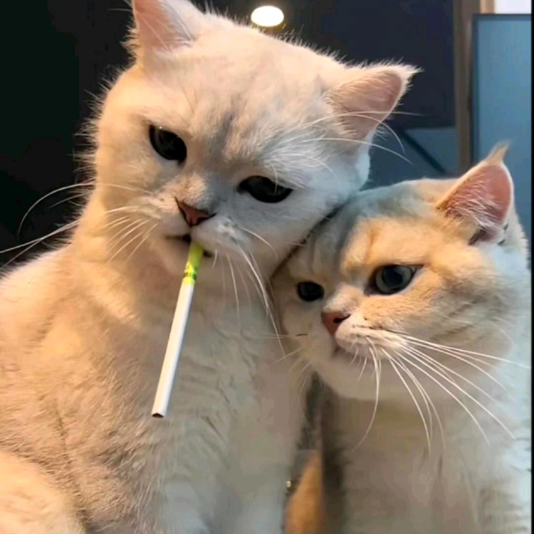 顺其自然!
