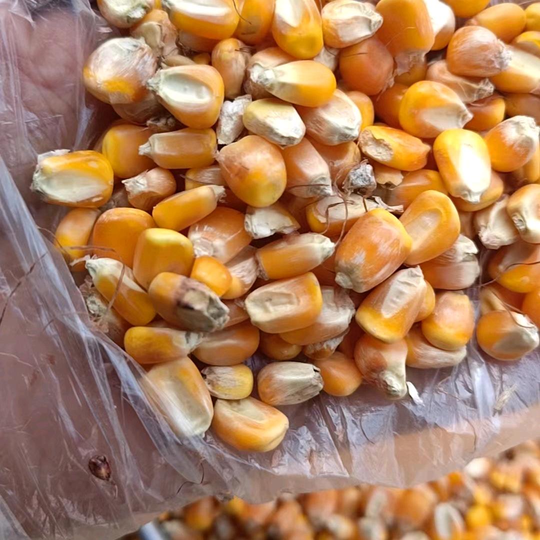 赵青锋合作共赢