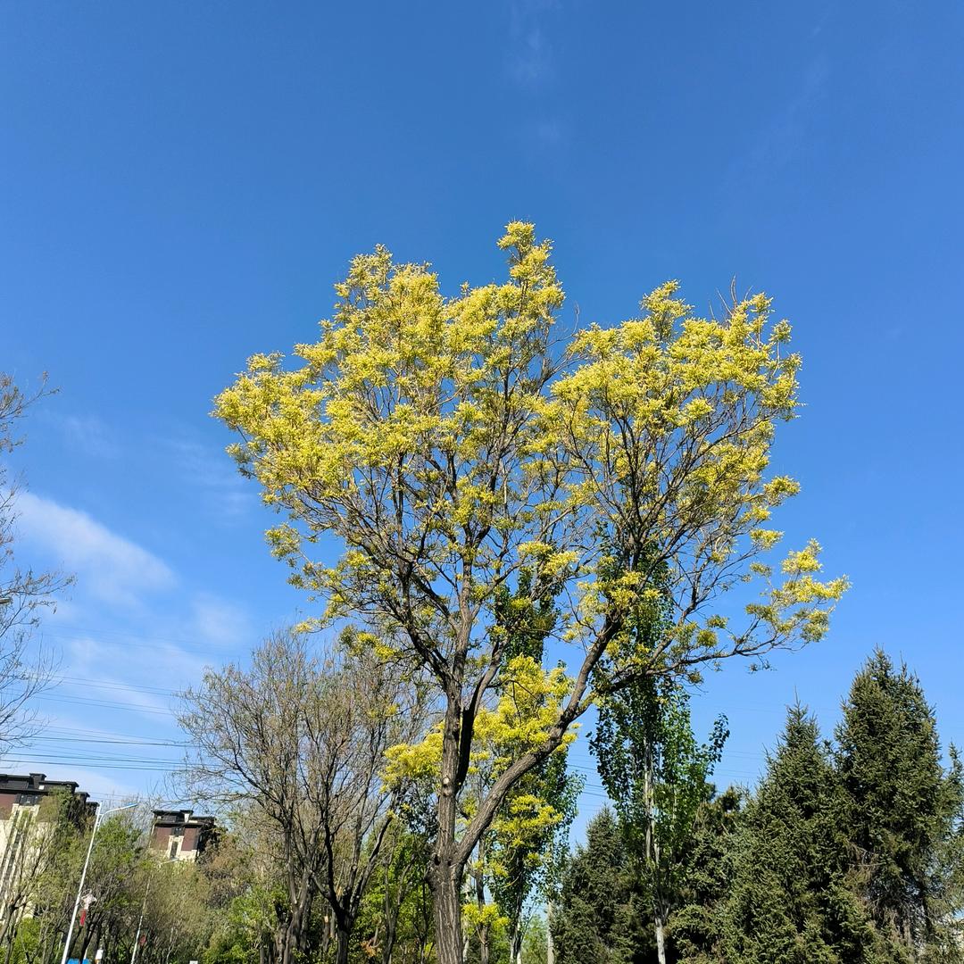 李哥干啥呢