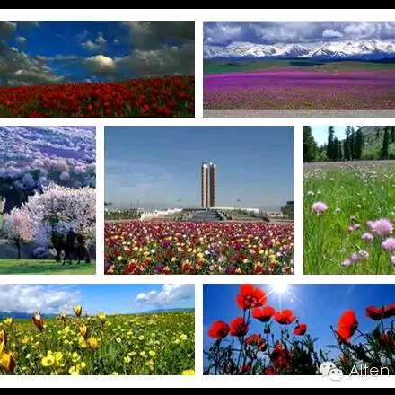 有你咖啡不加糖