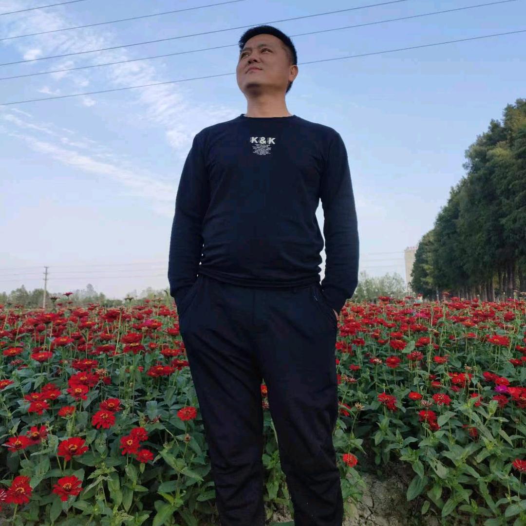 一诺千金，展翅翱翔