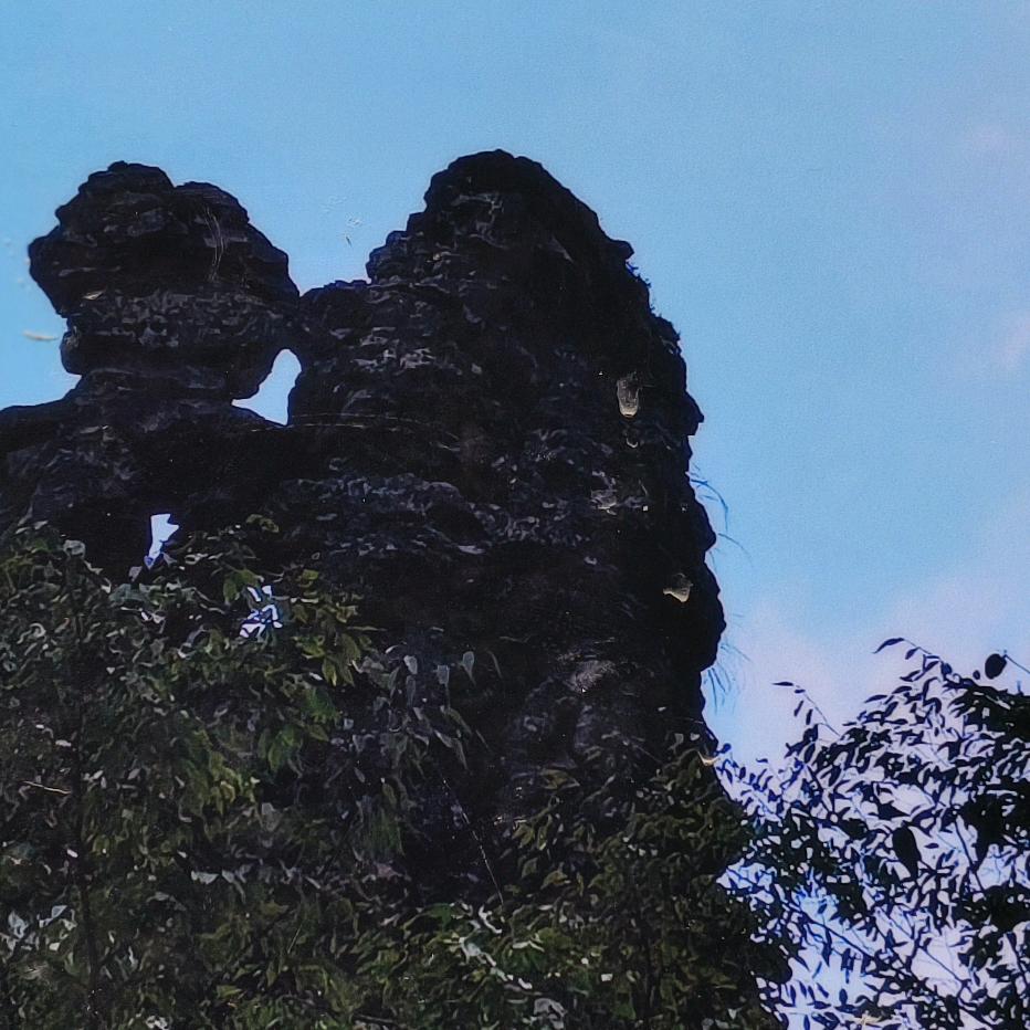 郑了一个亿