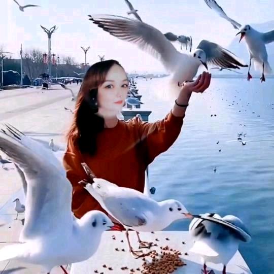 思而不语🐟