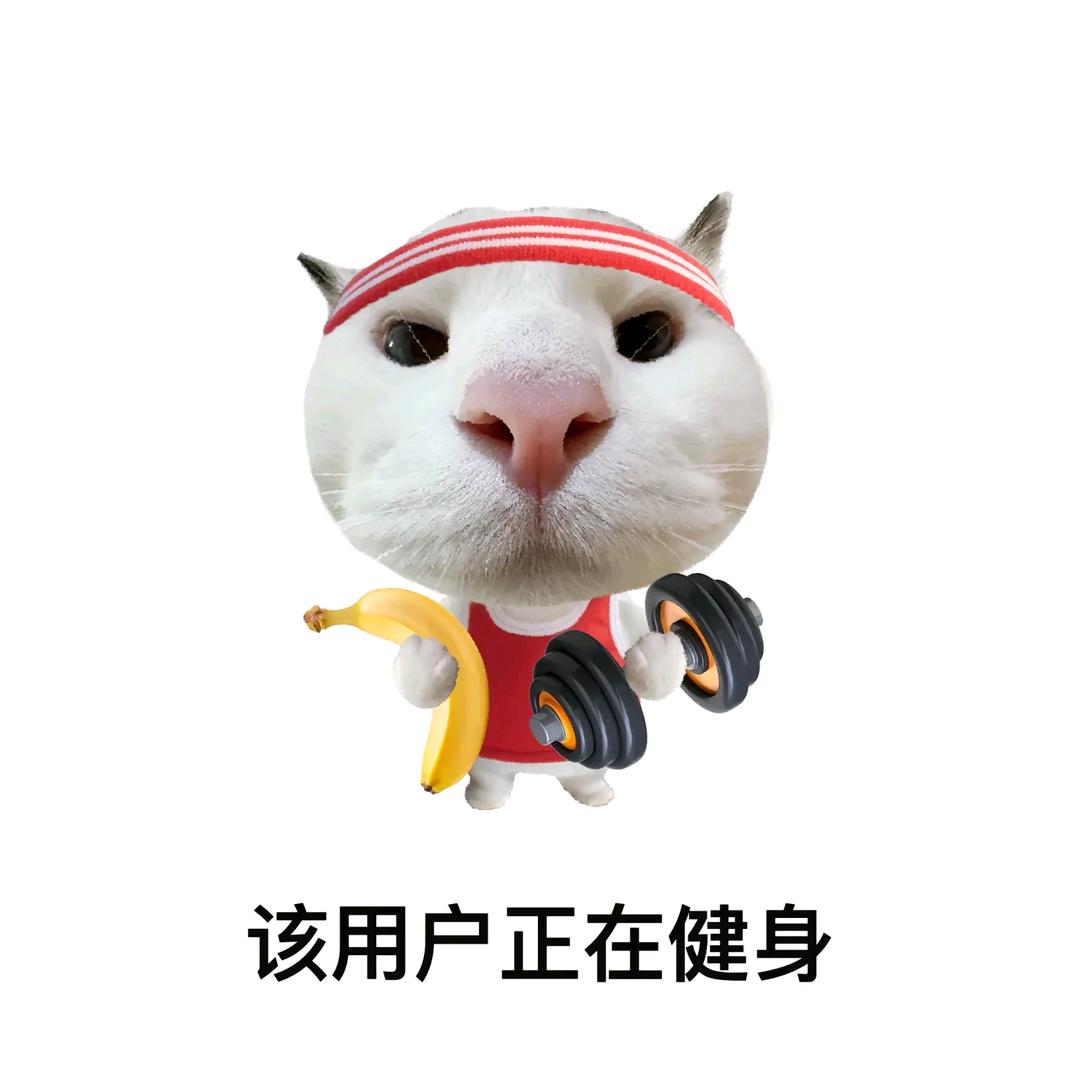 云t胖乎乎头像