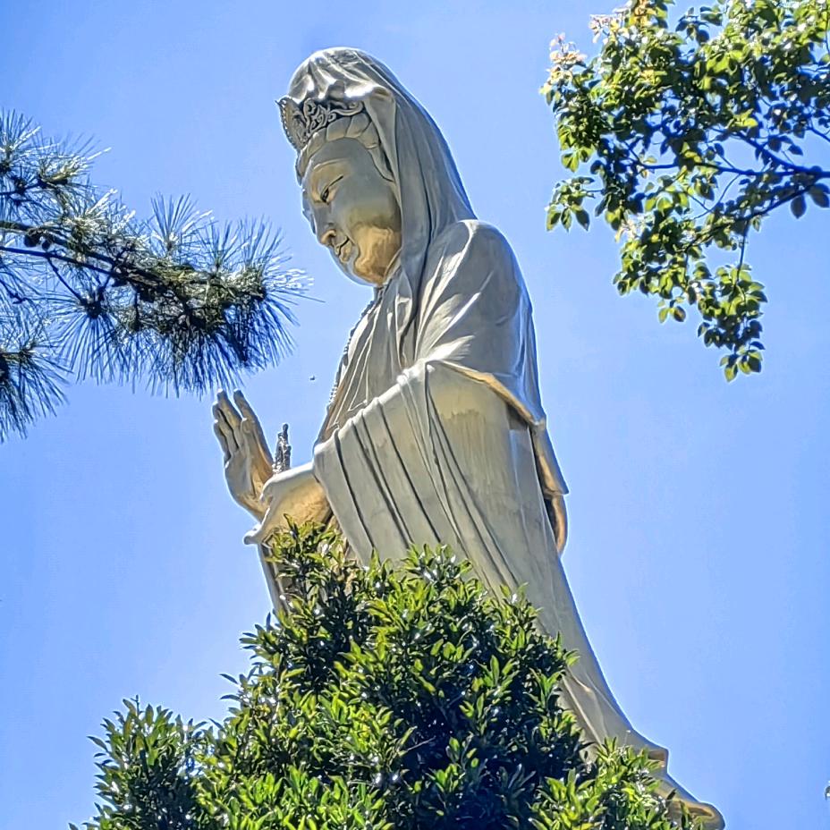 @🇨🇳萤火丛󾓭@