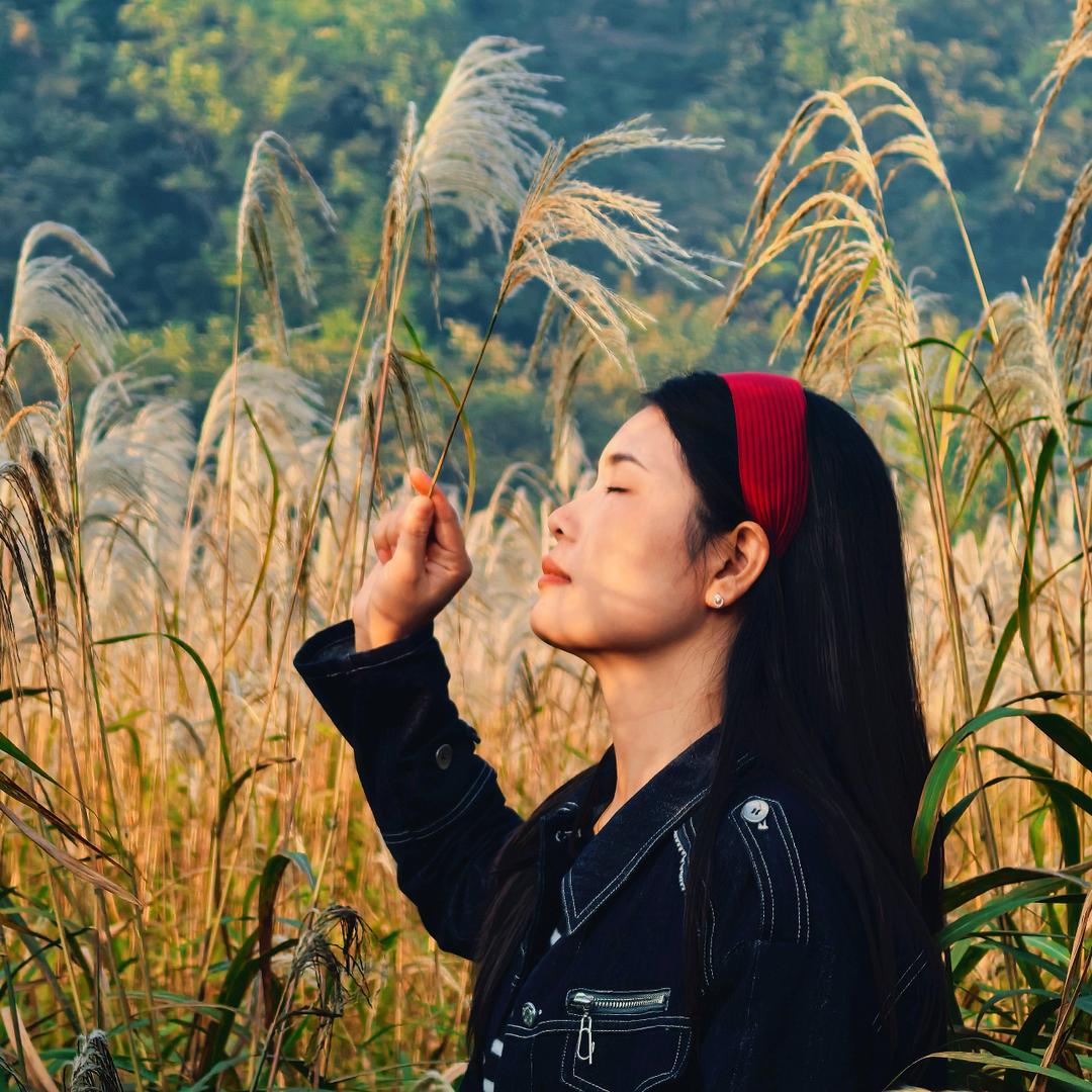 ঞ᭄: 💰囍财ོ: