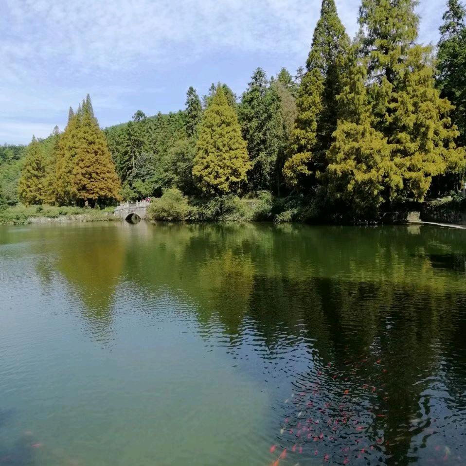 迷茫
