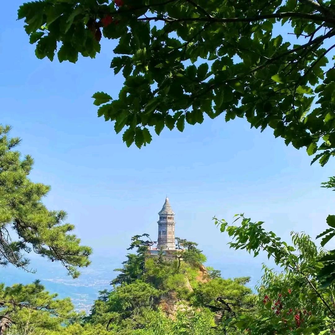 蓟州小胡（小雨姐团队）