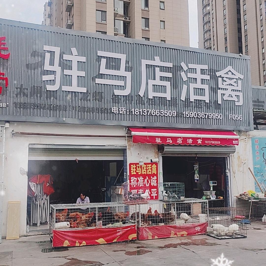 赞巴拉市场驻马店活禽