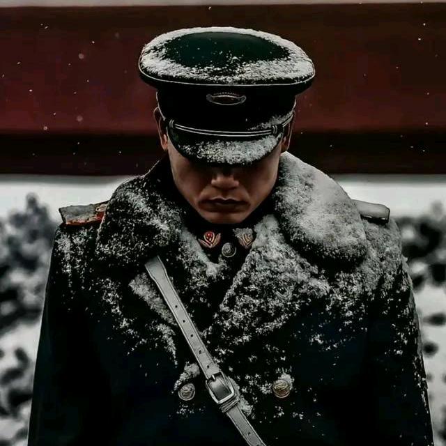 淼淼