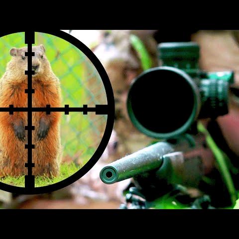 户外weapon达人