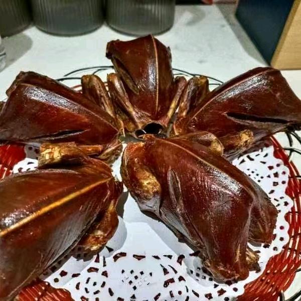 鸽友白海航鸽子王