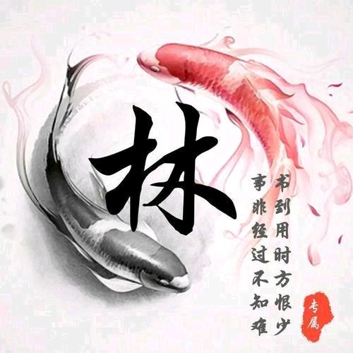 lin jia 曲弟