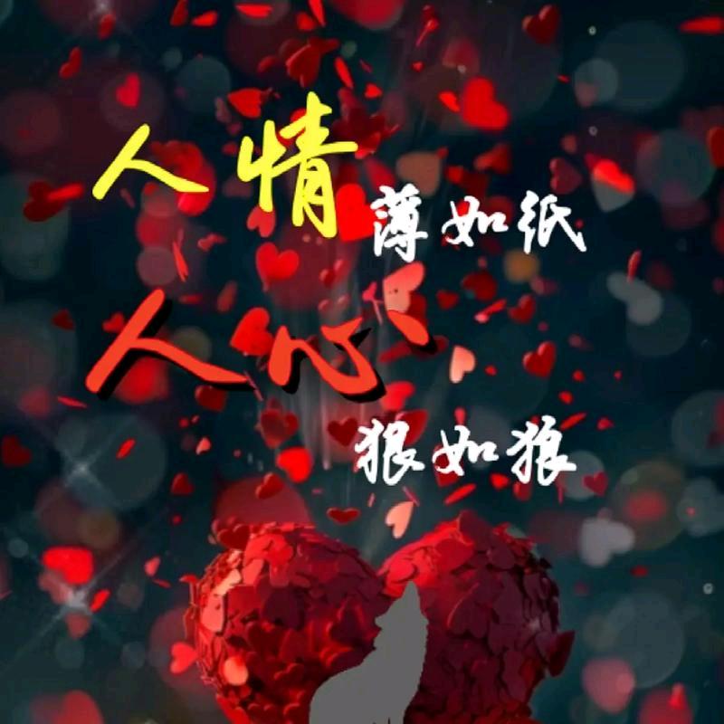 🌹驿路梅花🌹