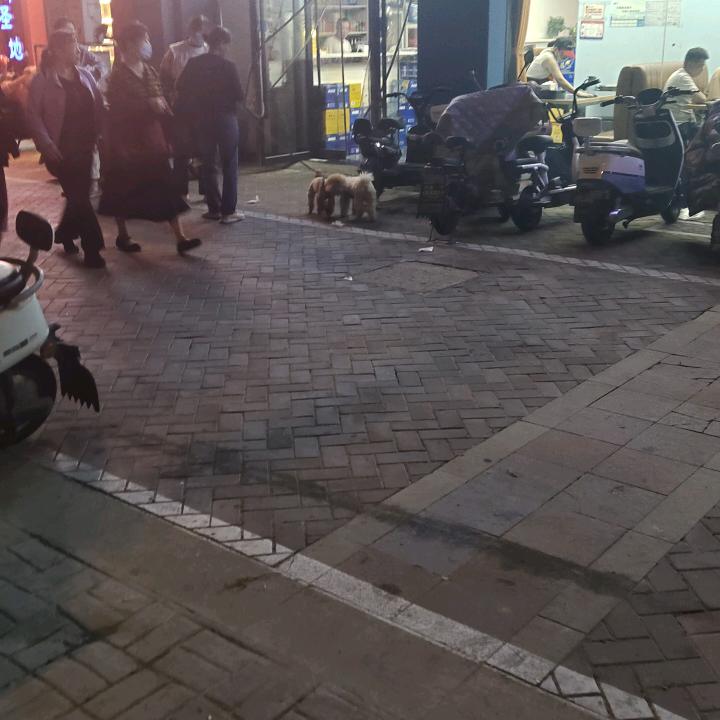 大兵小蒋