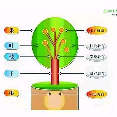 北屯小状元AI自习室