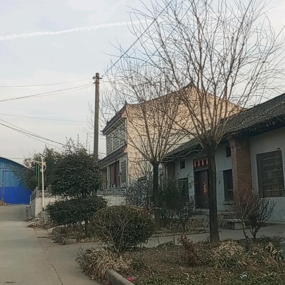 象春树苗批发