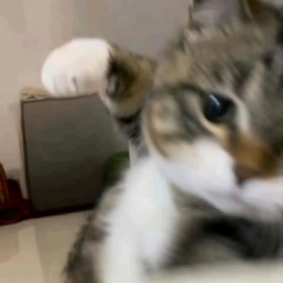 言