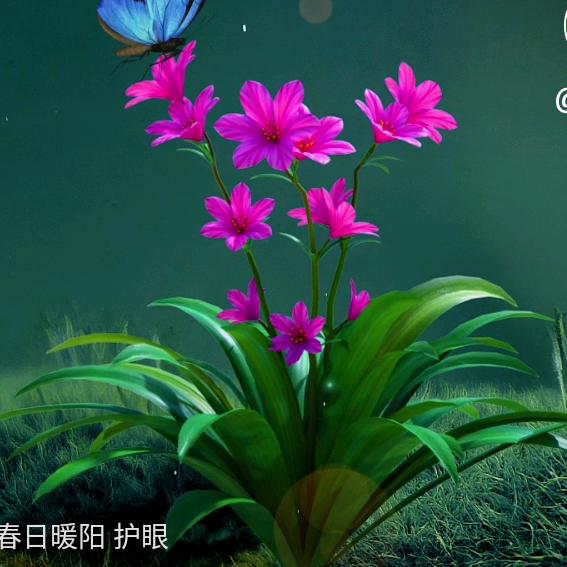 天边的晚霞