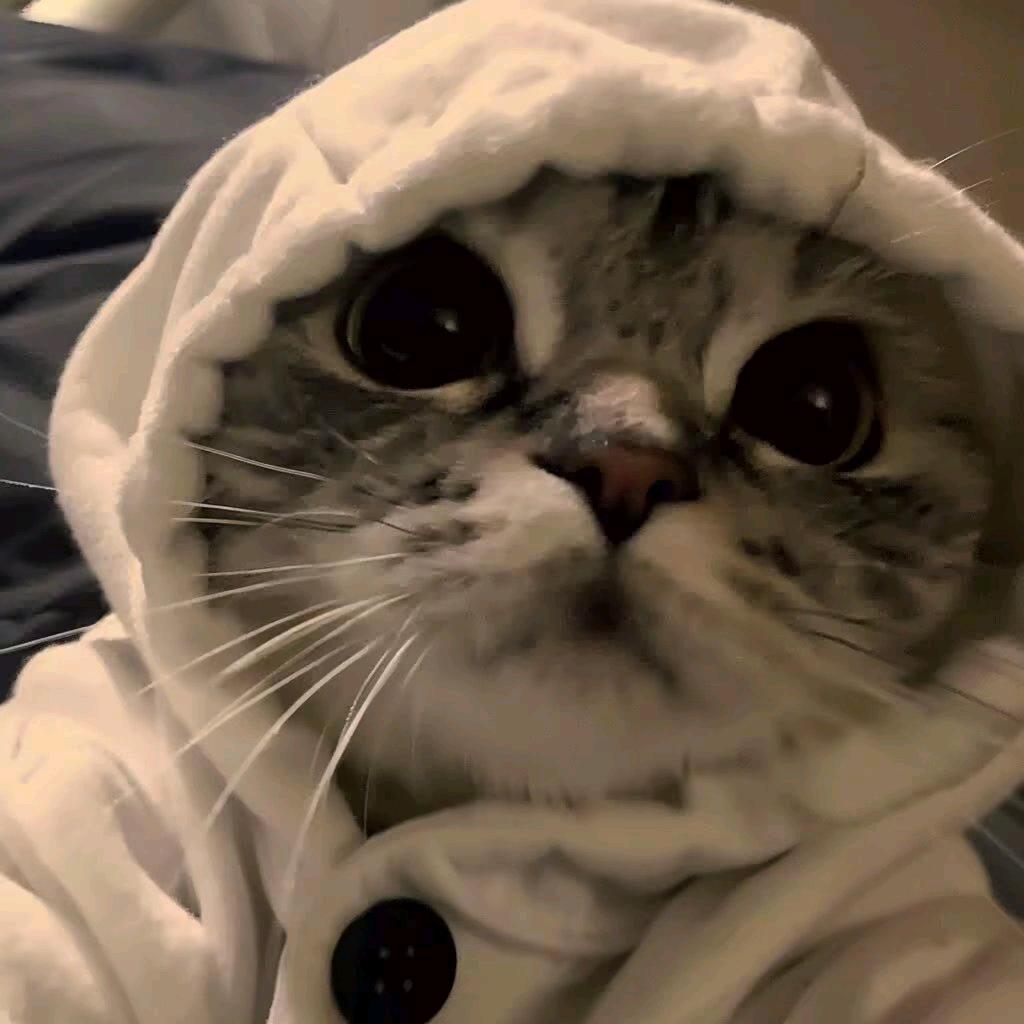 满山的猴子我腚最红^_^