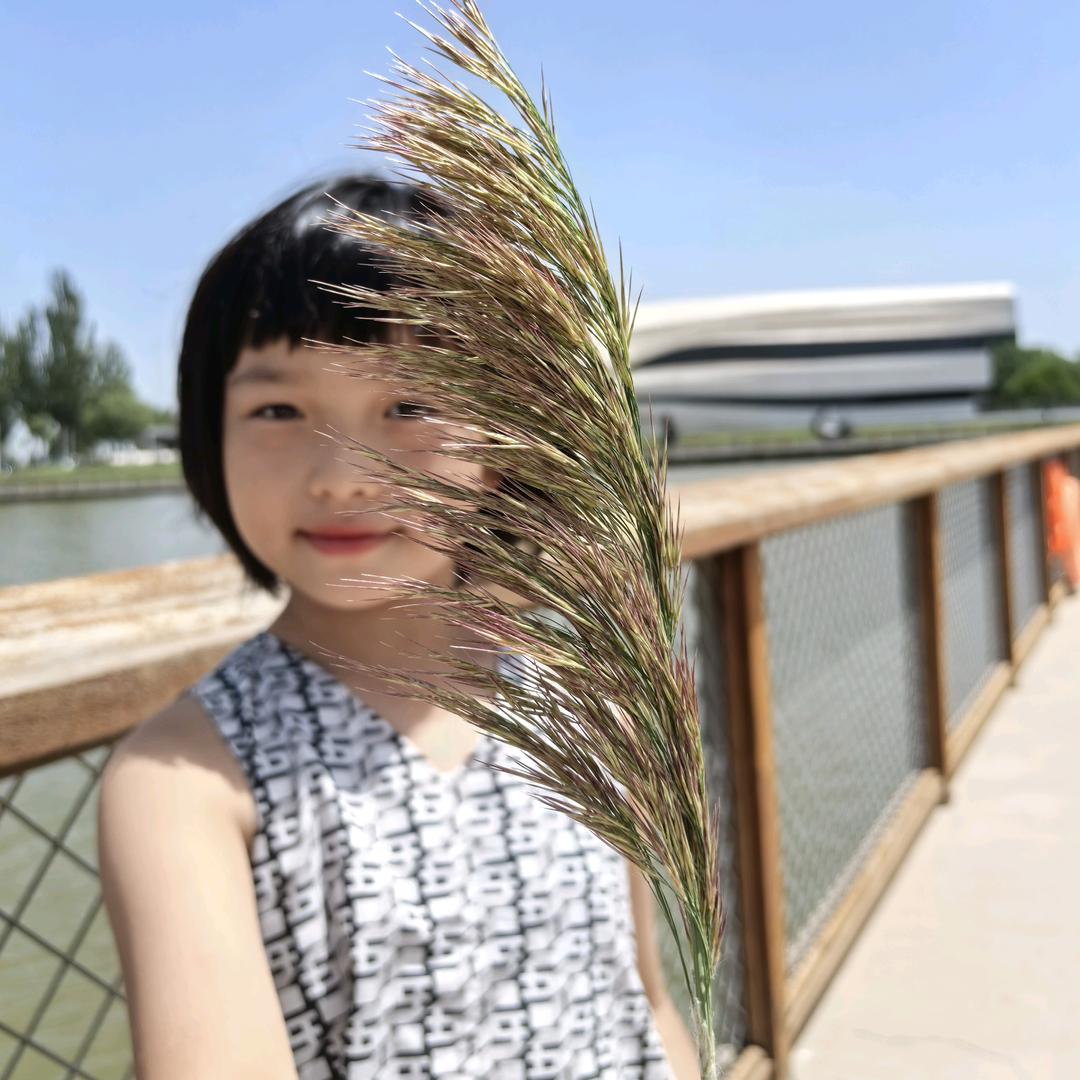 魔芋