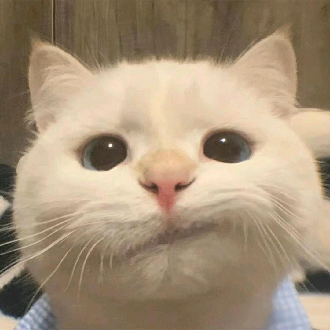 虾米