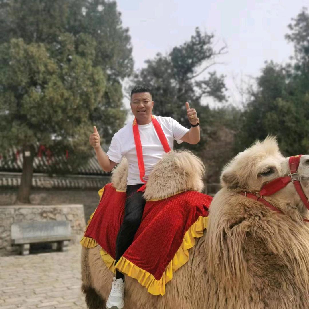 王景成