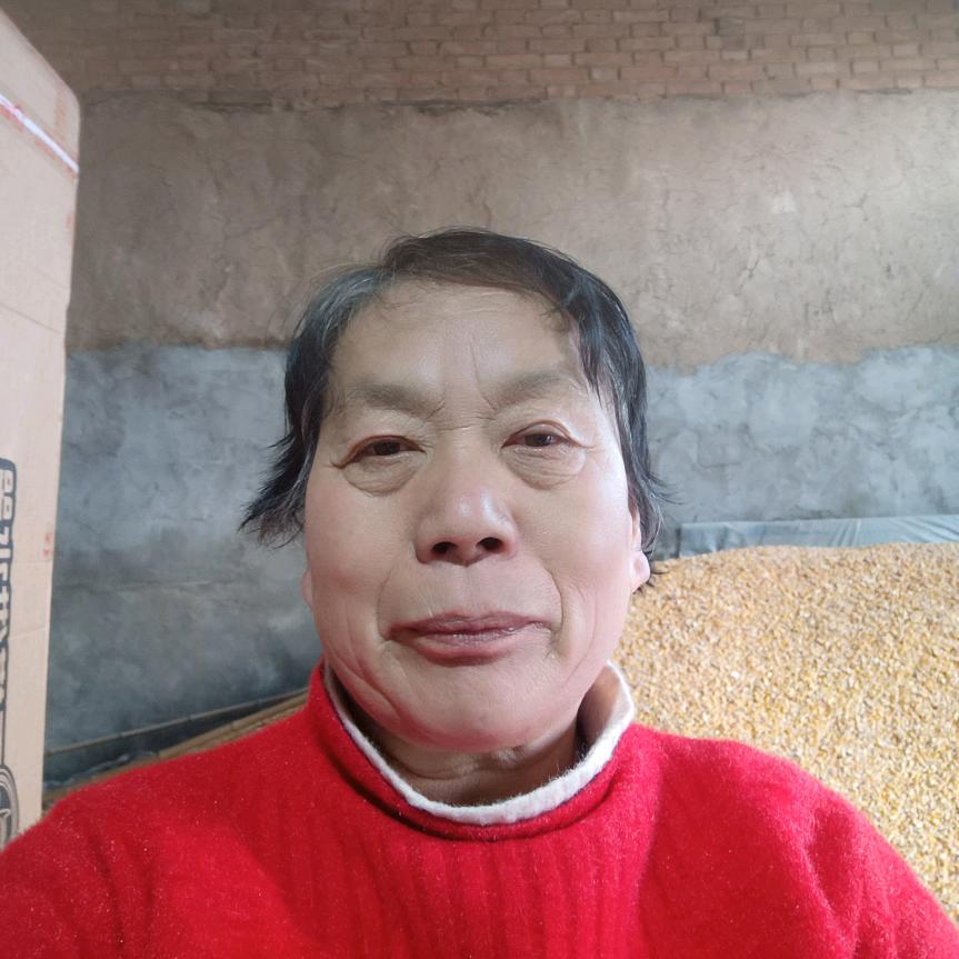 李月梅2023