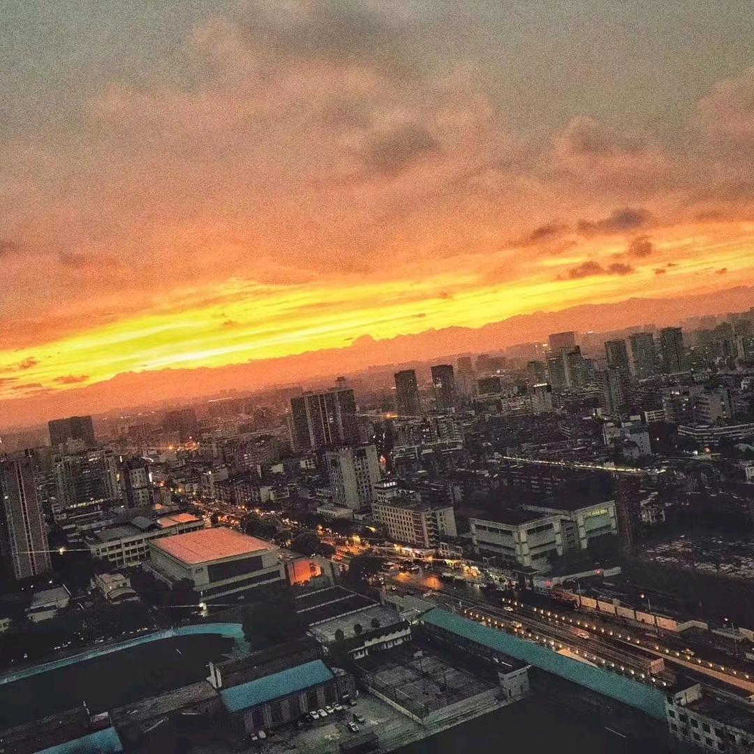 成都生生一世文化传媒有限公司