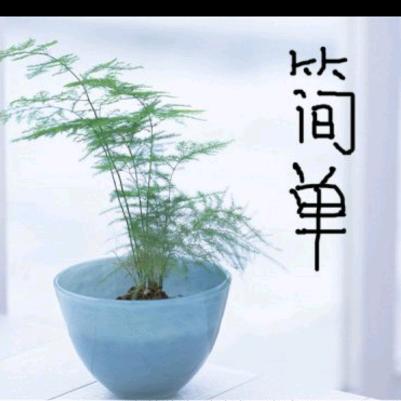 简简单单一个人