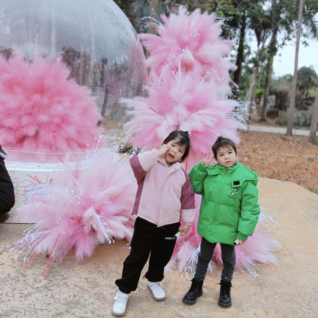 沫沫呀！（带娃中）