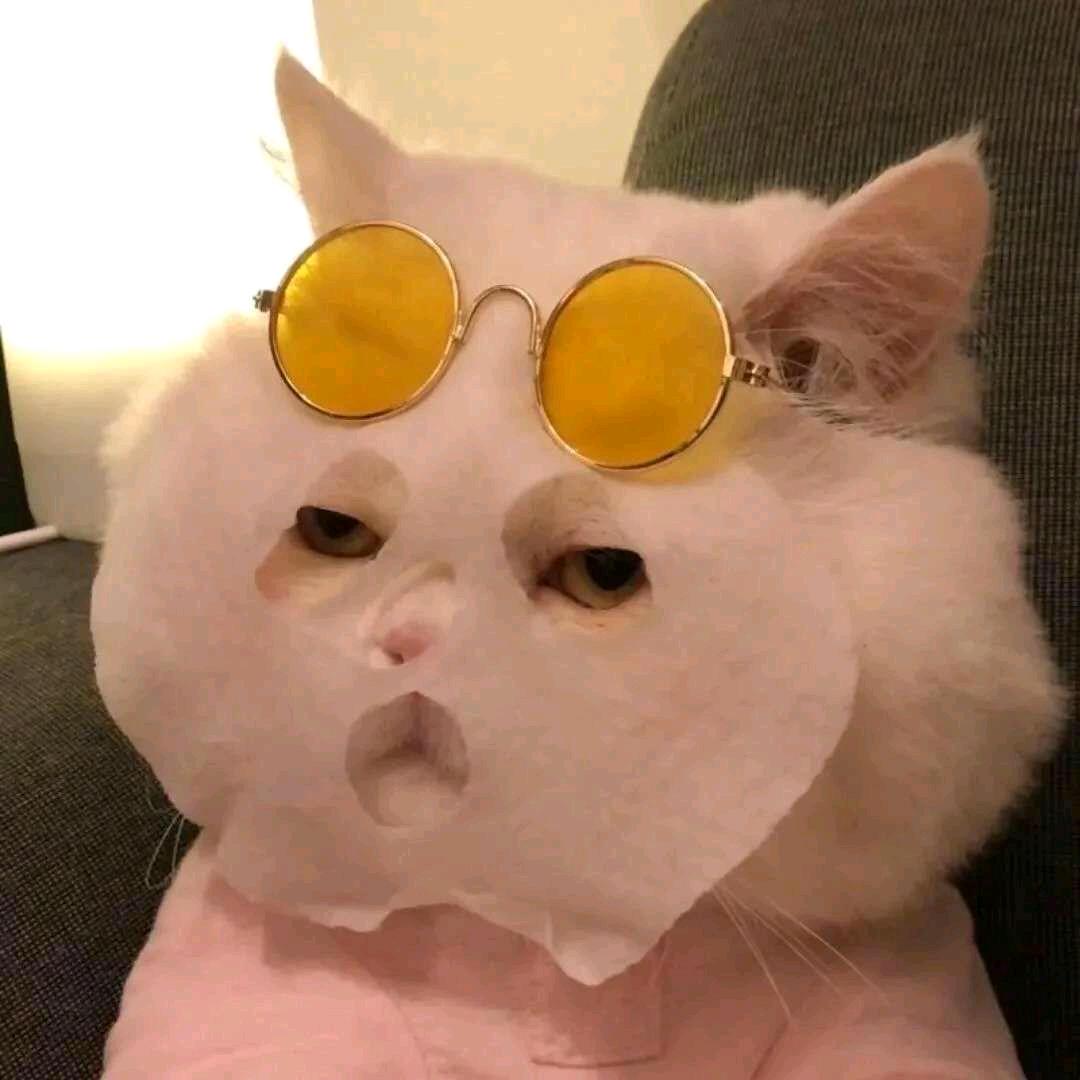 啊咧咧