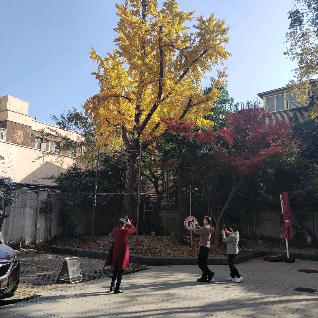 三丰