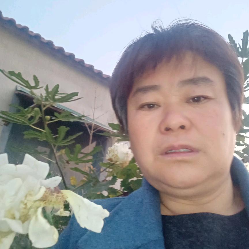 自由天下