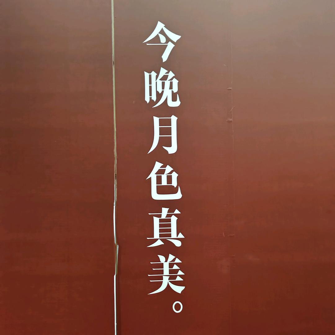 一粒尘埃@