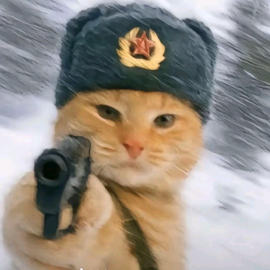 新斗争伊始