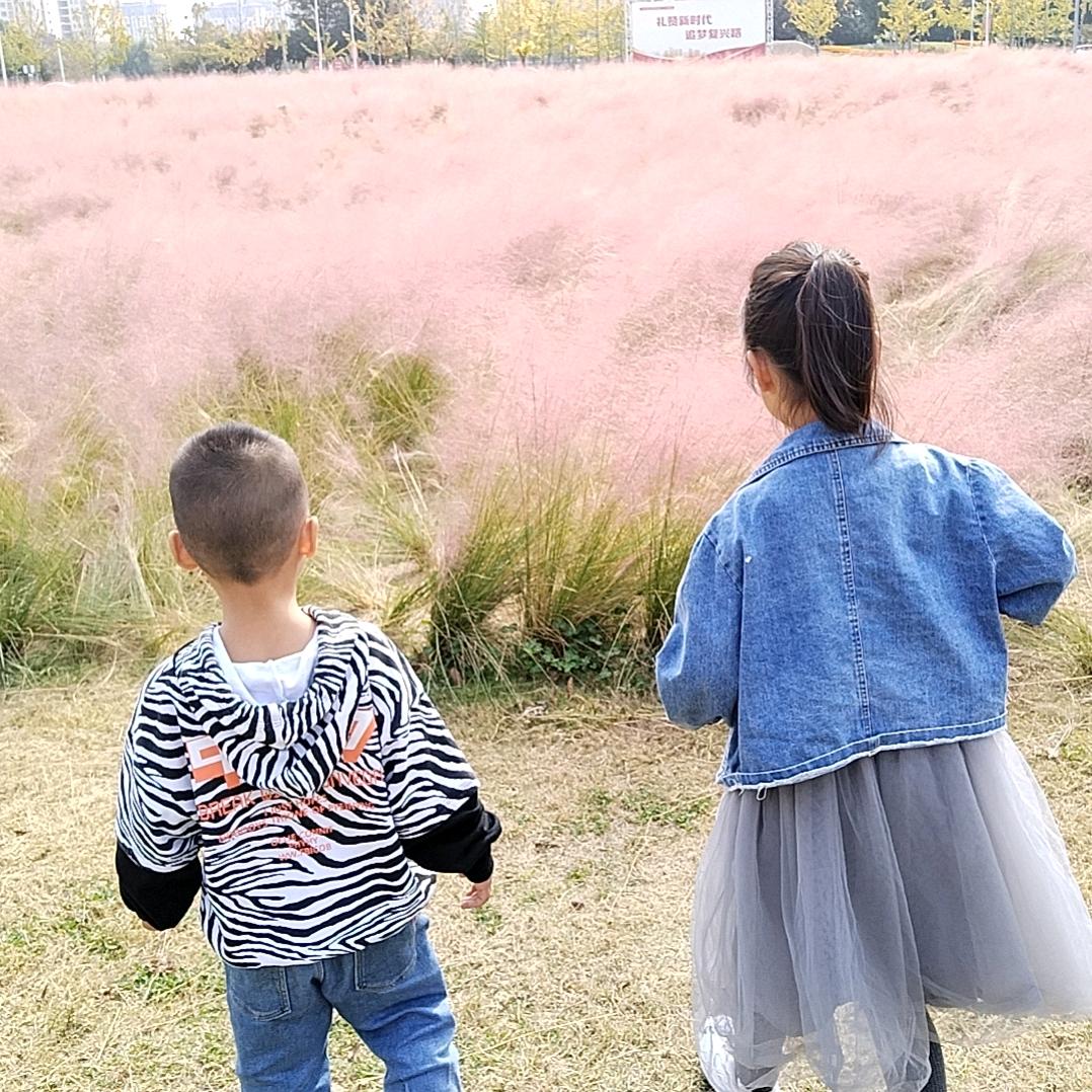 是苏苏呀🧚‍♀️