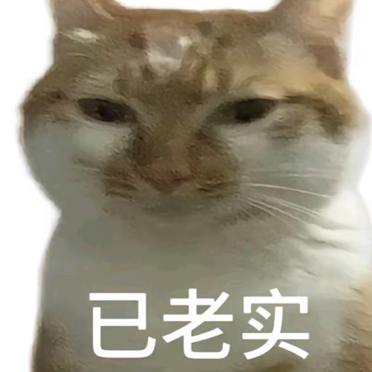 @干嘛要选康piu特