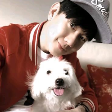 图崽不林雨【云生绘】