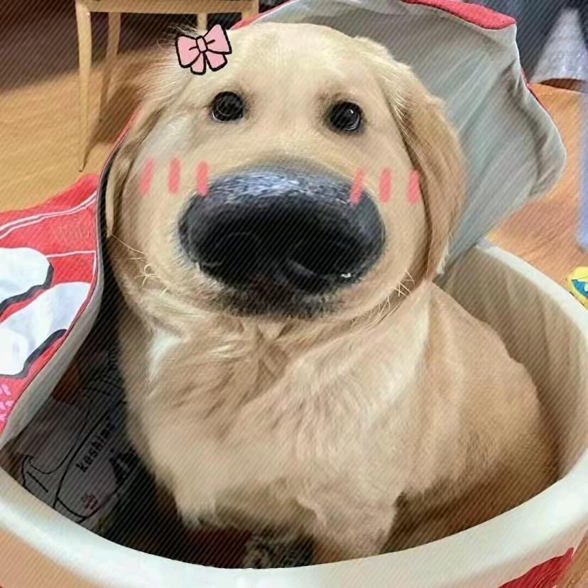 快躲我后面o