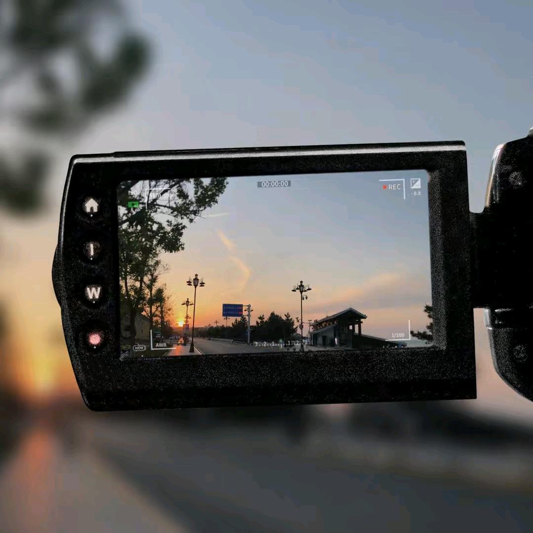 深山的🦌不知归路