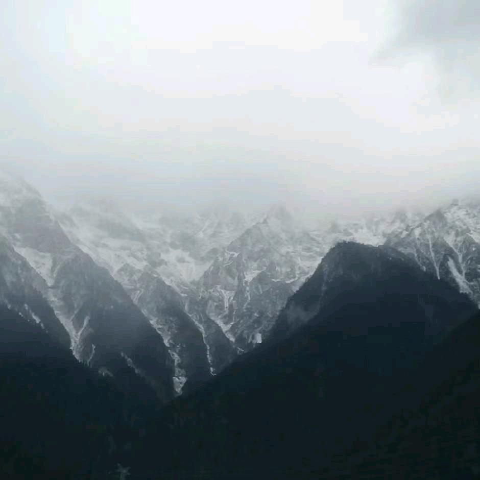 荣老师