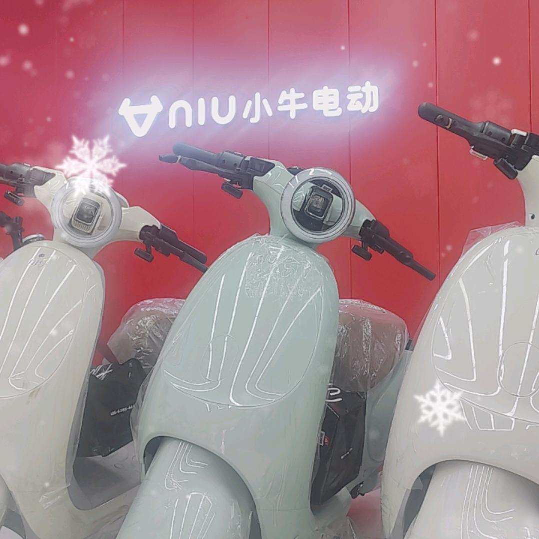 小牛电动(翠金园店)