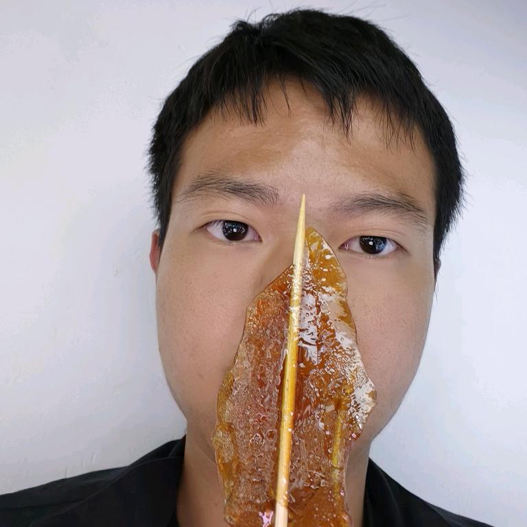 清风韵竹