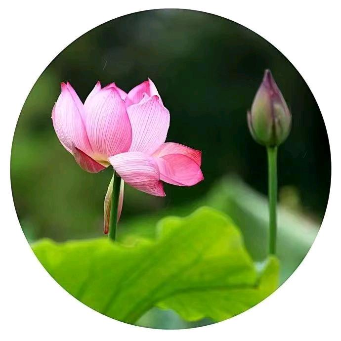 大爱无疆：刘师傅