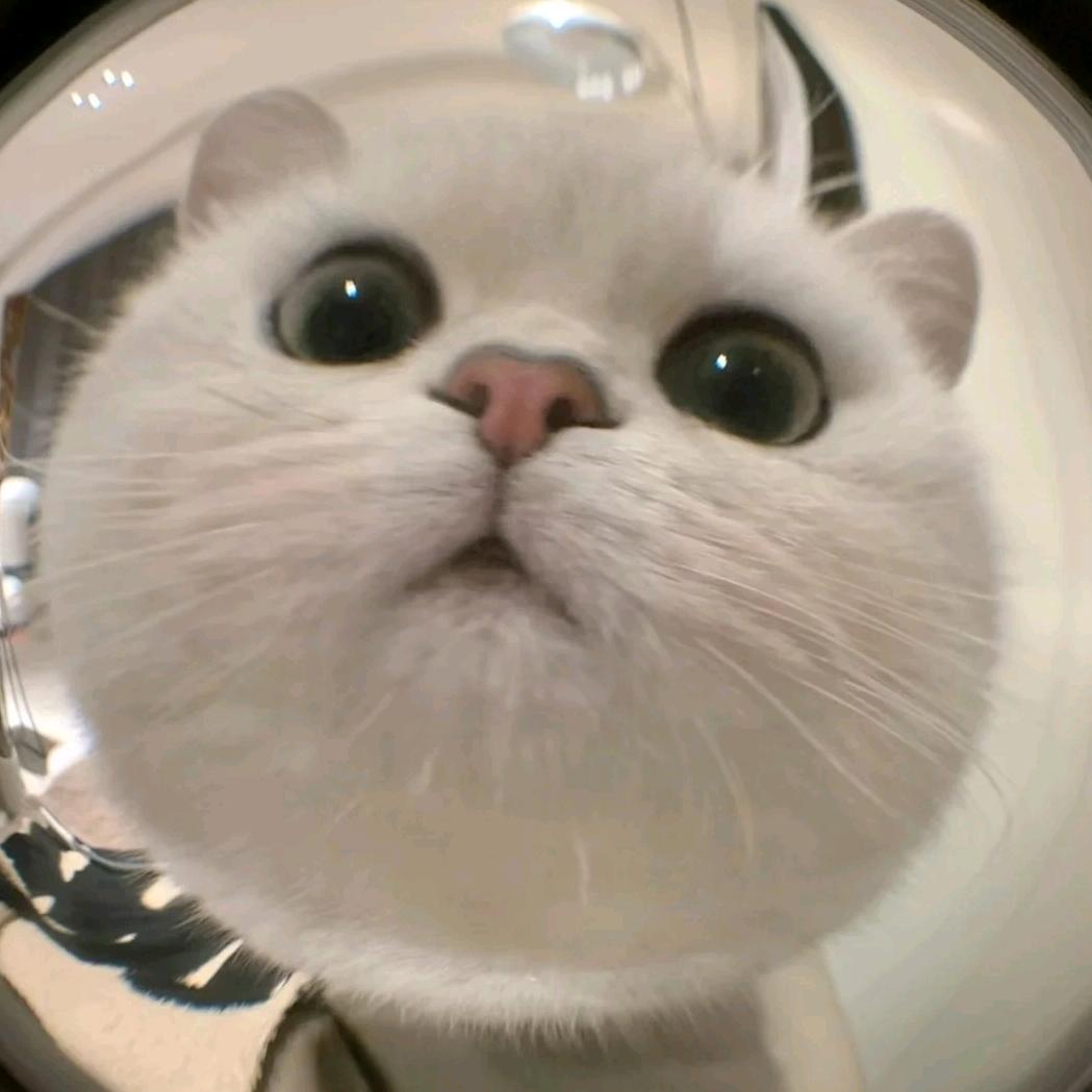 橡果什麽泥嗔蔫儿