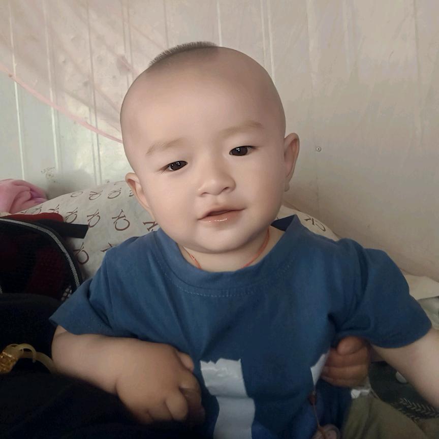 西双版纳曼松王子山茶园